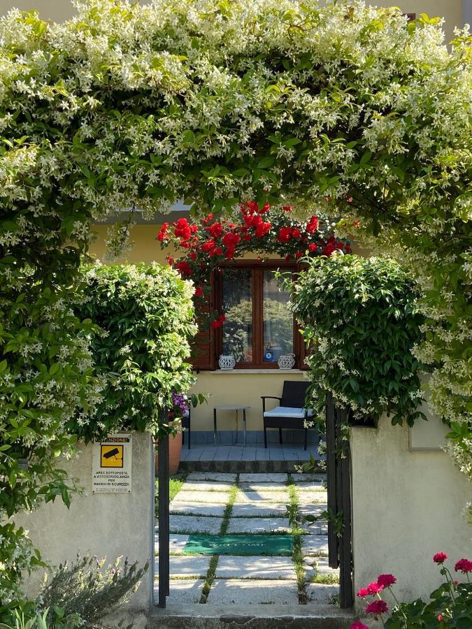 Villa Dei Cedri Scalea Zewnętrze zdjęcie