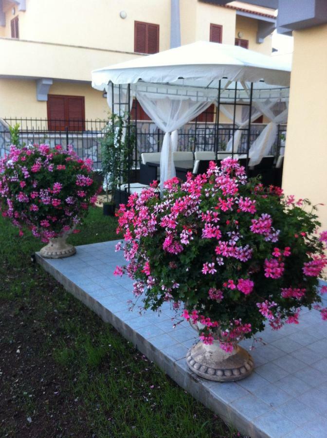 Villa Dei Cedri Scalea Zewnętrze zdjęcie